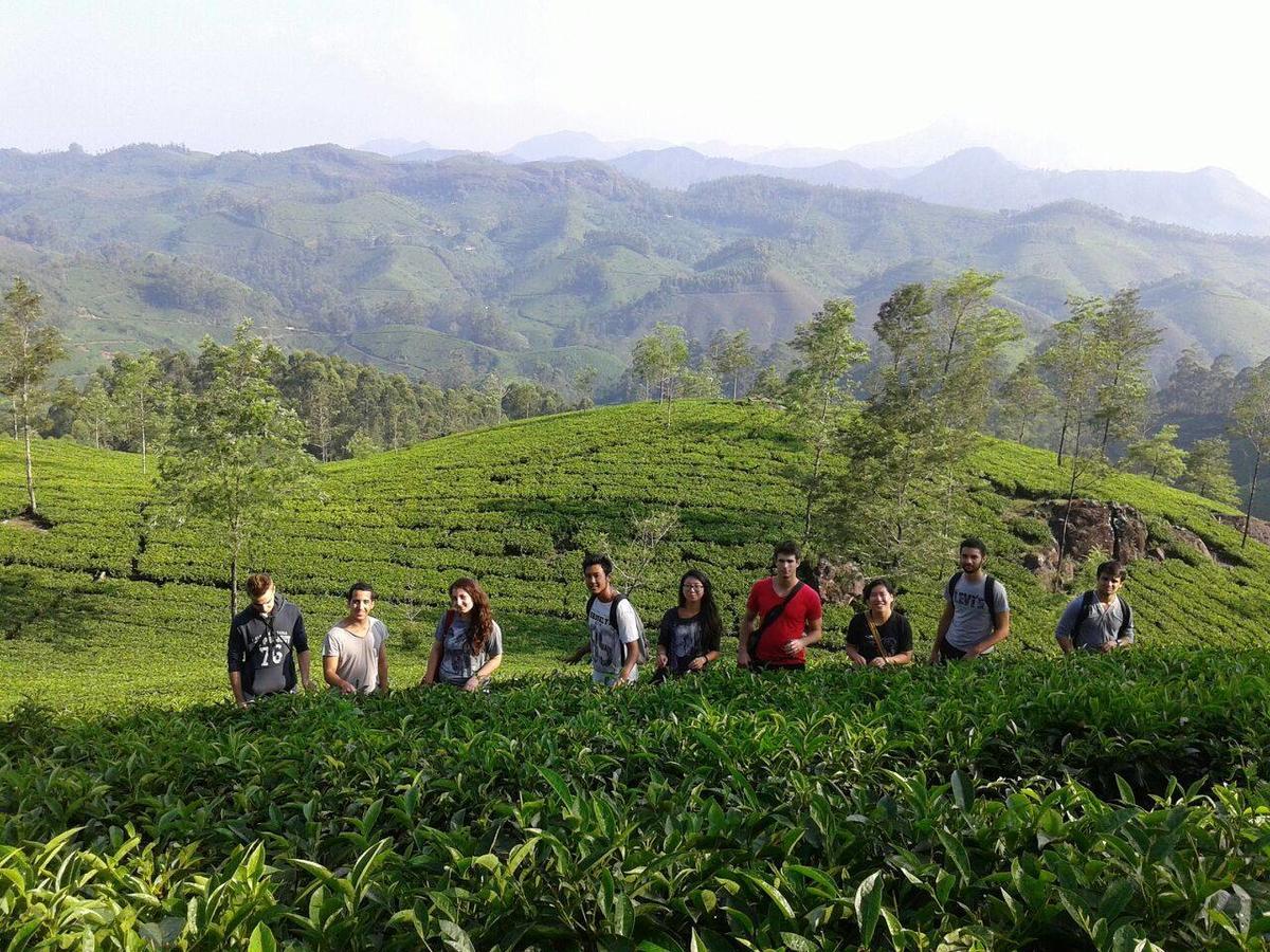 Jj Cottage Munnar Kültér fotó